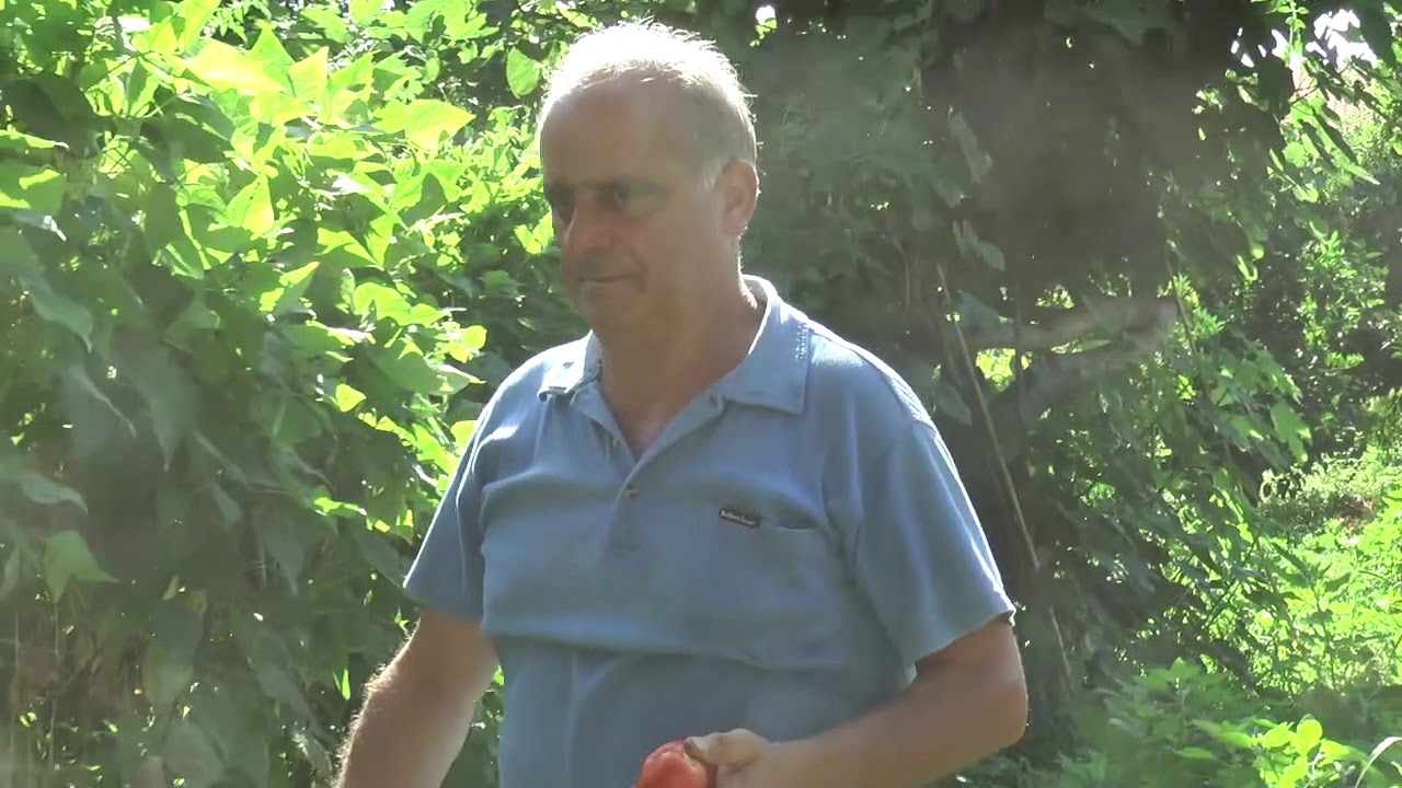 L'ORTO SULL'ALBERO | IL VIDEO