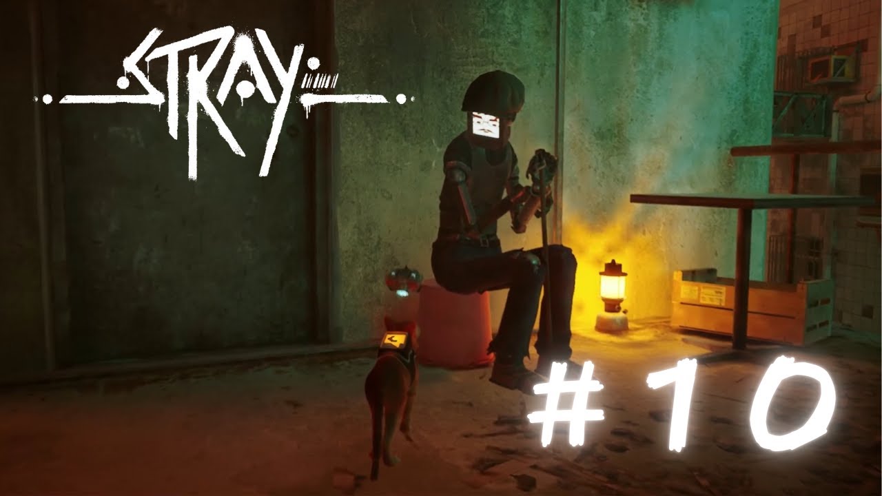 [stray]ﾈｺと和解せよ　＃10[ゲーム実況]