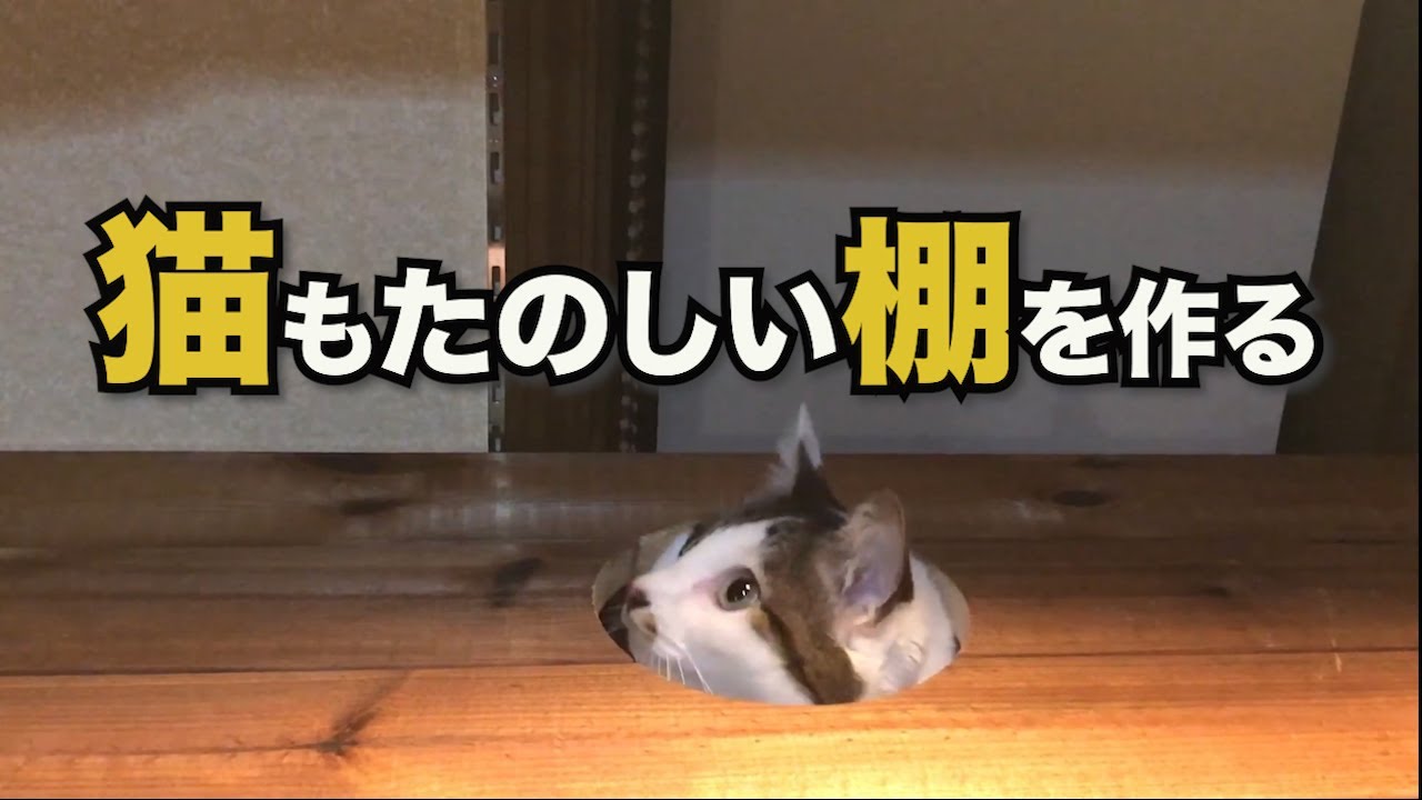 【DIY】実家を改造せよ！ ＃1  チャンネルサポートで棚を作る