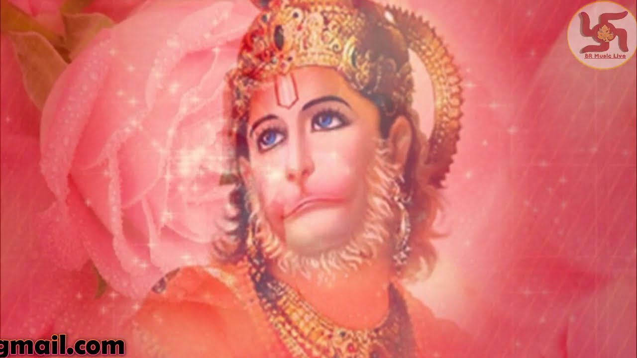 श्रीमद् भागवत कथा मैं || हनुमान चालीसा || सीताराम सीताराम ||