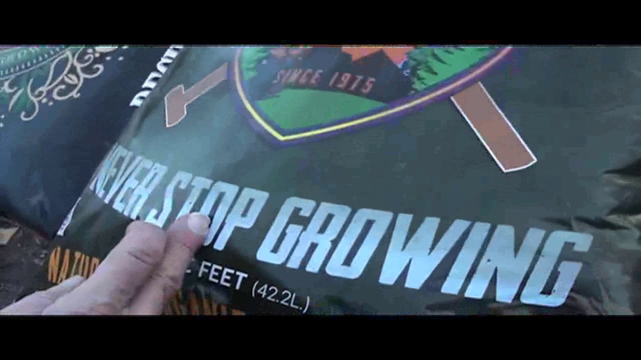 Season 2 Ep. 1 Cannabisman seeds, 101 Growing Techniques for Organic Cannabis