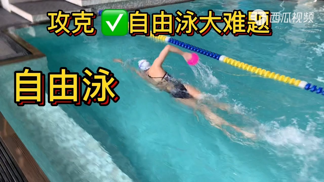 【攻克自由泳大难题：自由泳高肘抱水做不好，就看这里】｜Aimee游泳学堂