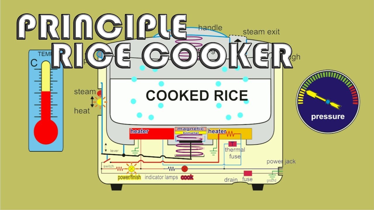 Animation principle how to work rice cooker rice warmer