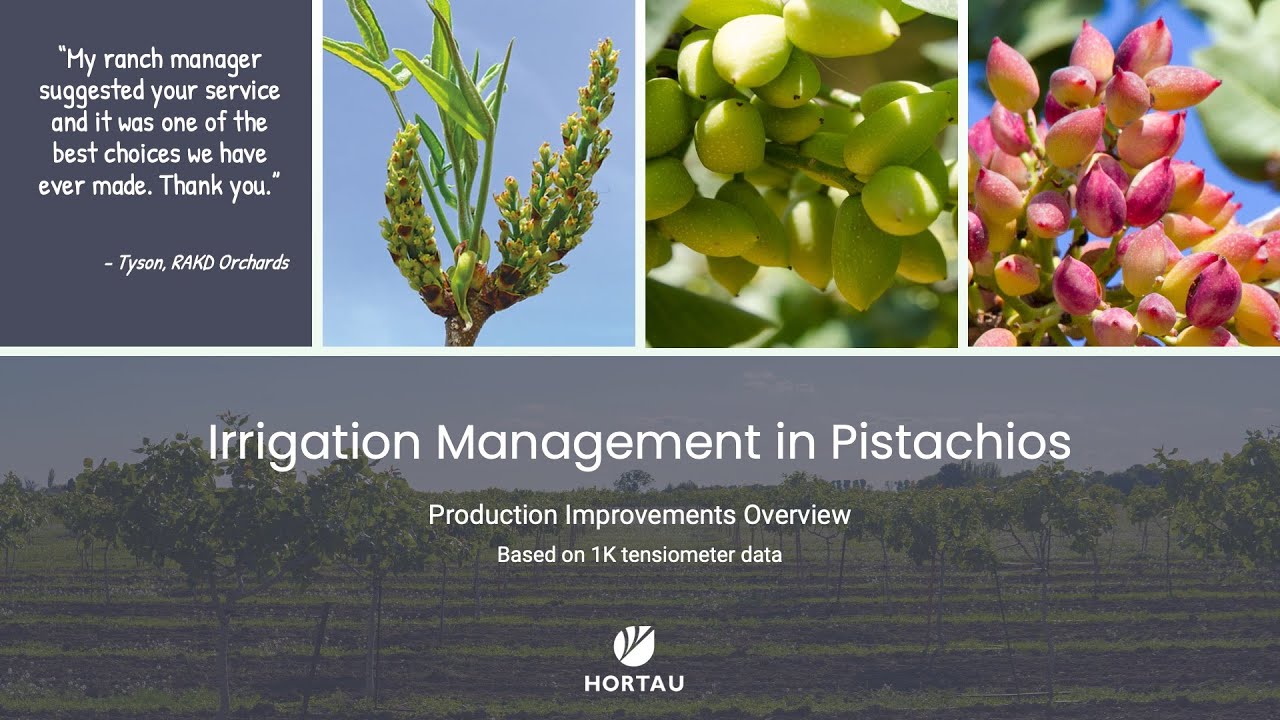 Advanced Irrigation Management in Pistachios