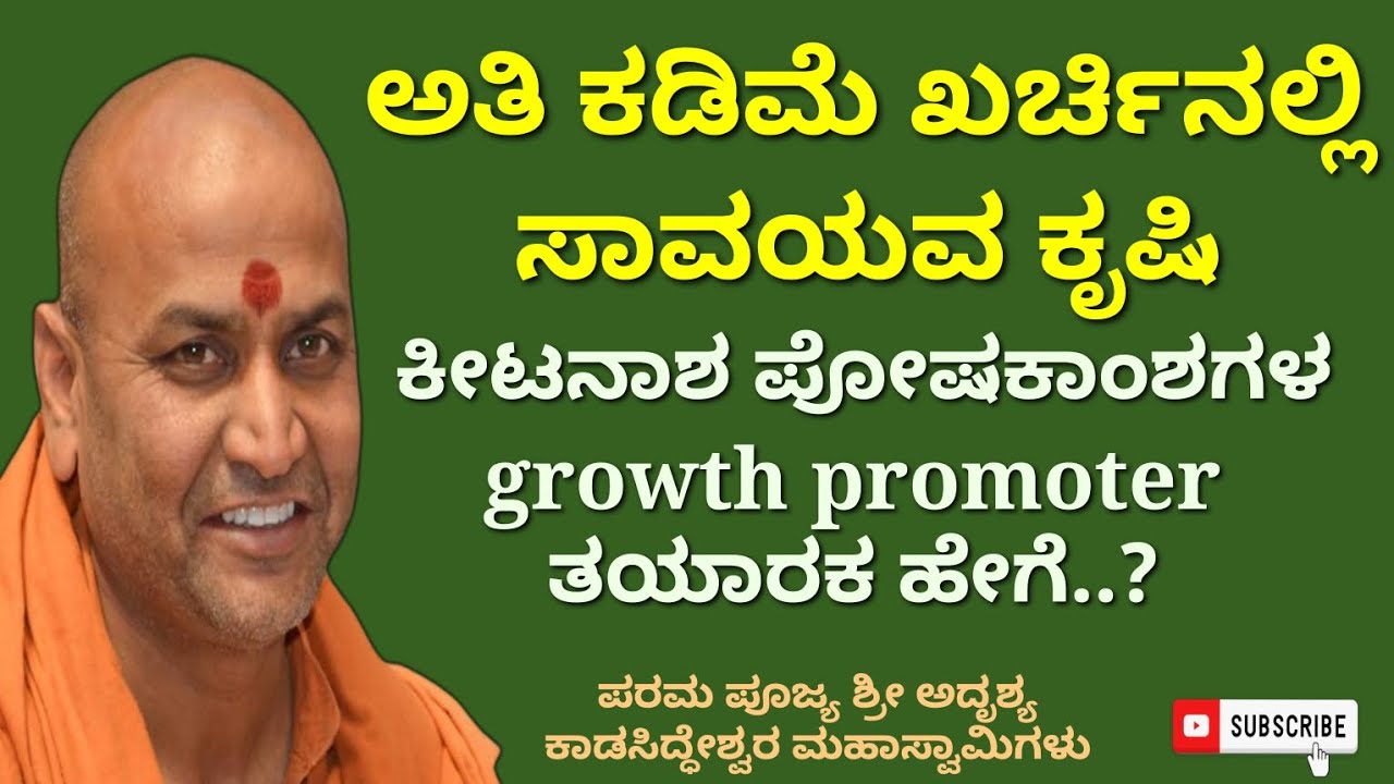 ಅತಿ ಕಡಿಮೆ ಖರ್ಚಿನಲ್ಲಿ ಸಾವಯವ ಕೃಷಿ, ಕೀಟನಾಶಕ, growth prom ಪೋಷಕಾಂಶಗಳ, ತಯಾರಿಕೆ ಹೇಗೆ.? ಶ್ರೀ ಕಾಡಸಿದ್ಧೇಶ್ವರ