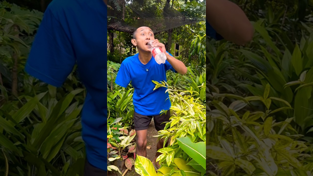 Nyiram taneman air nya diminum.
