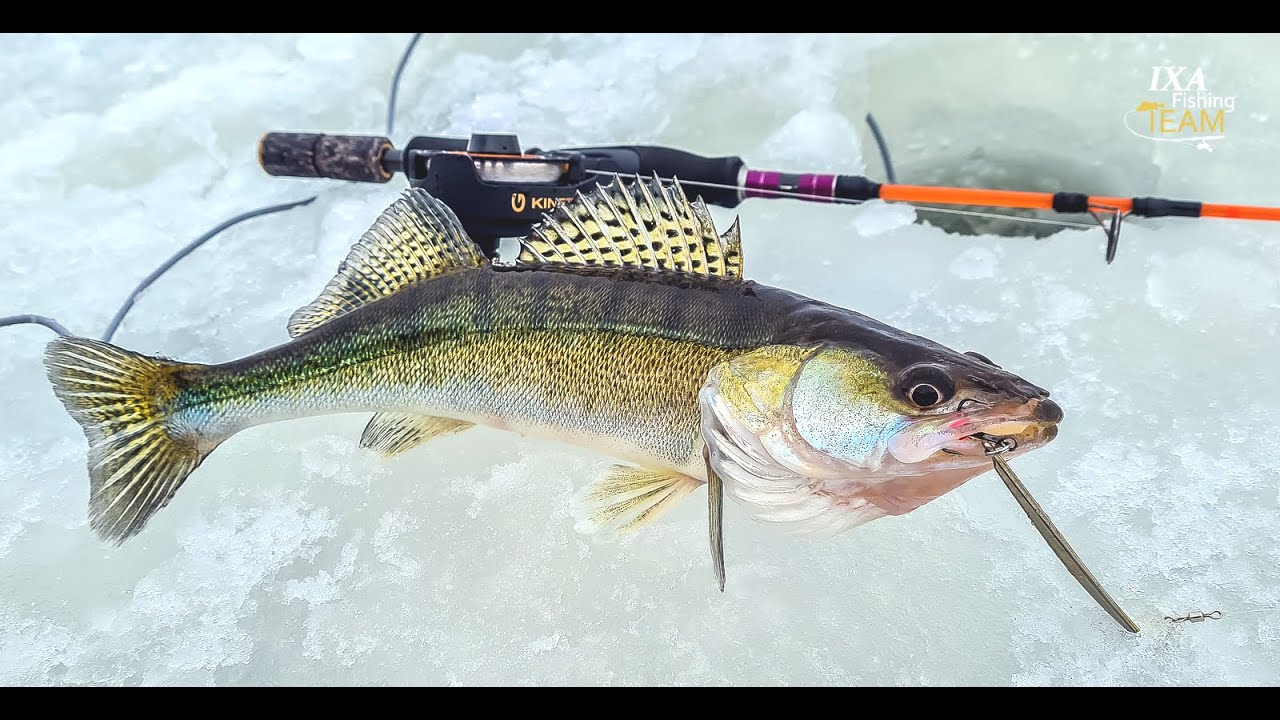 Talvine kohapüük jäält - 2021❄️❄️🎣🐠🐟😎