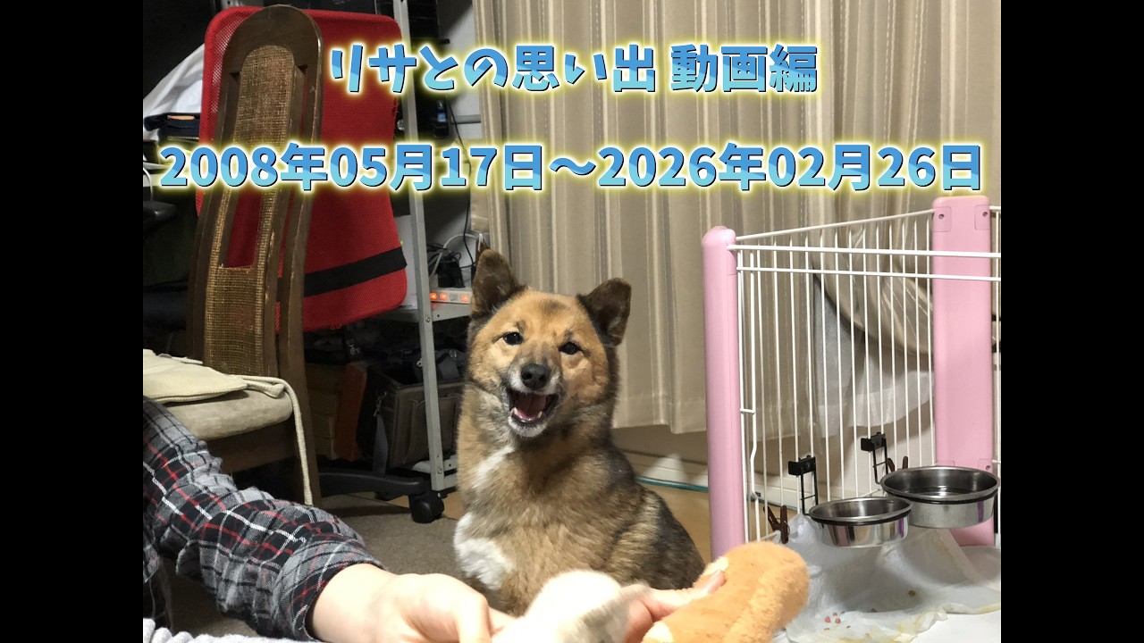 愛犬リサとの思い出～動画編～