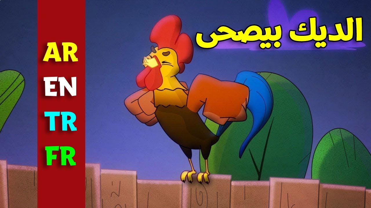 الديك بيصحى باللغات الأربع ( العربية - الإنجليزية - التركية - الفرنسية ) | طيور بيبي Toyor Baby