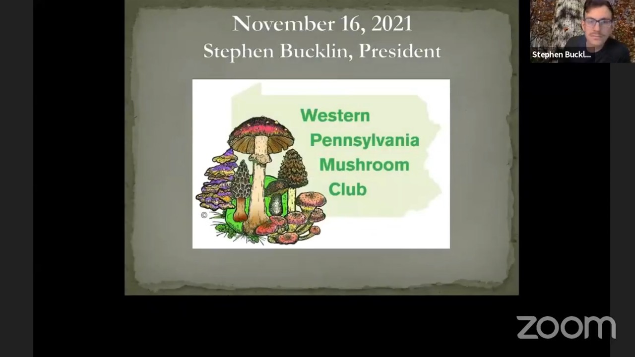 Potluck Dinner & Annual Awards – WPMC Monthly Meeting – Nov 2021