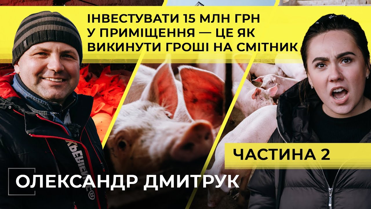 Я — Куркуль! Олександр Дмитрук | Ефективне свинарство, інвестиції, кооперативи | ФГ «Вітам»