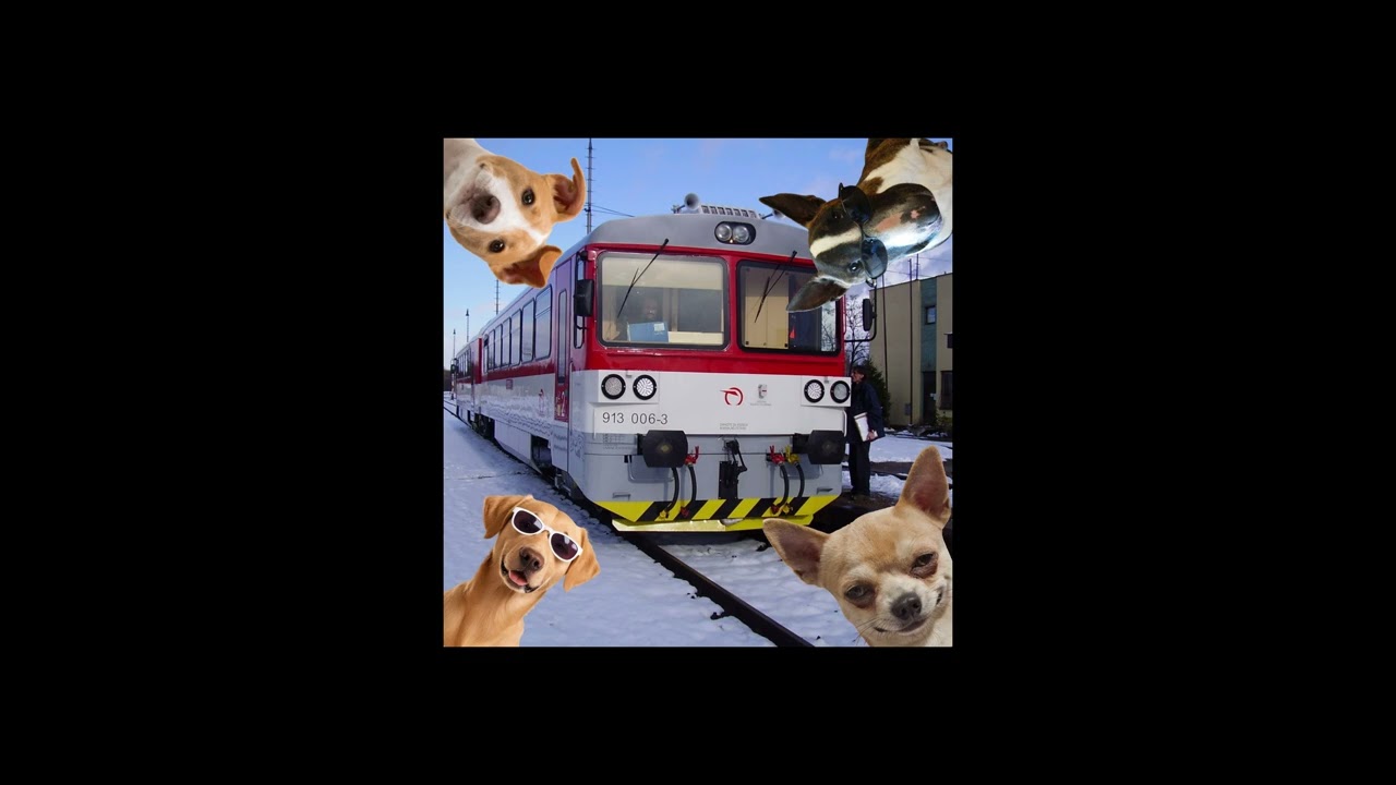 Železničná spoločnosť Slovensko DnB