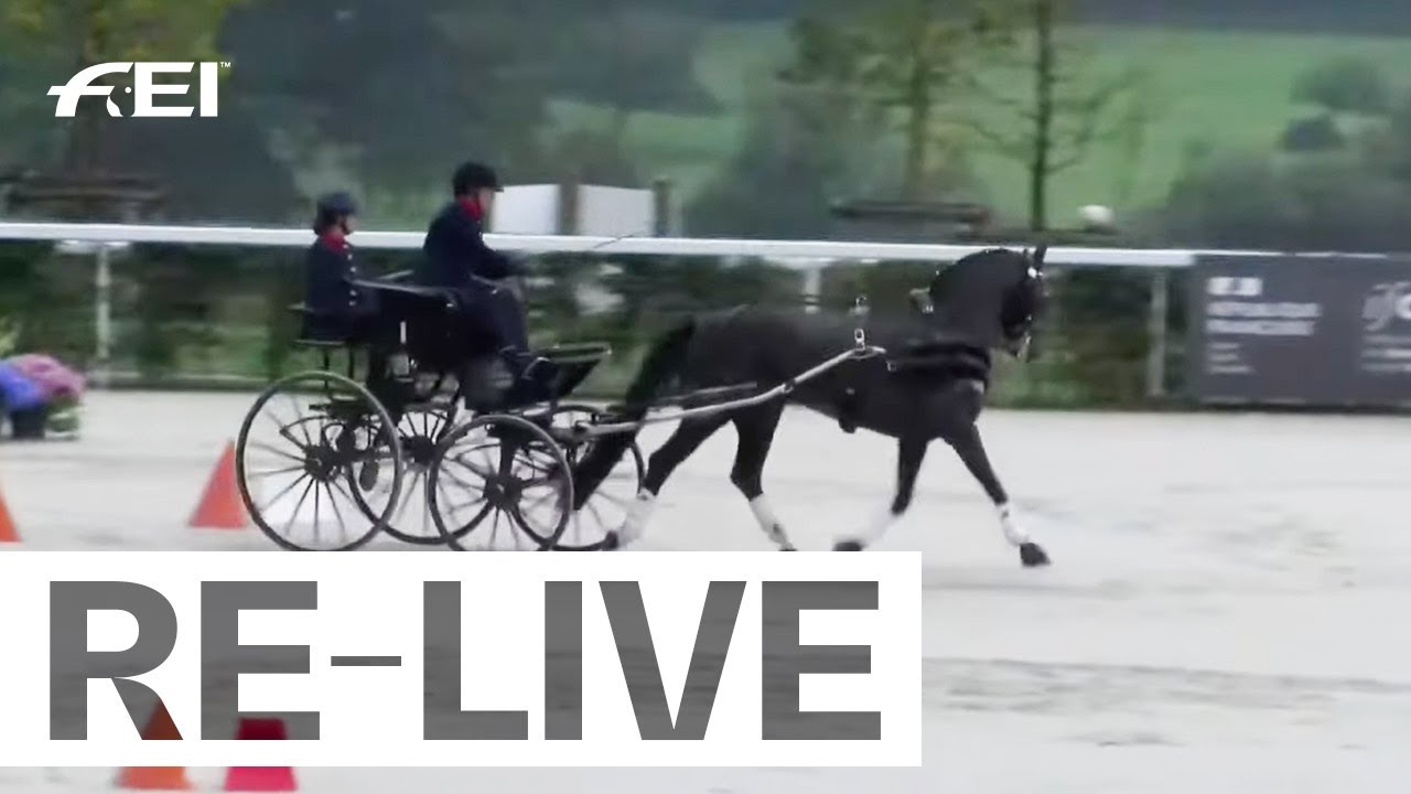 RE-LIVE | Cones - FEI Driving World Championship for Singles