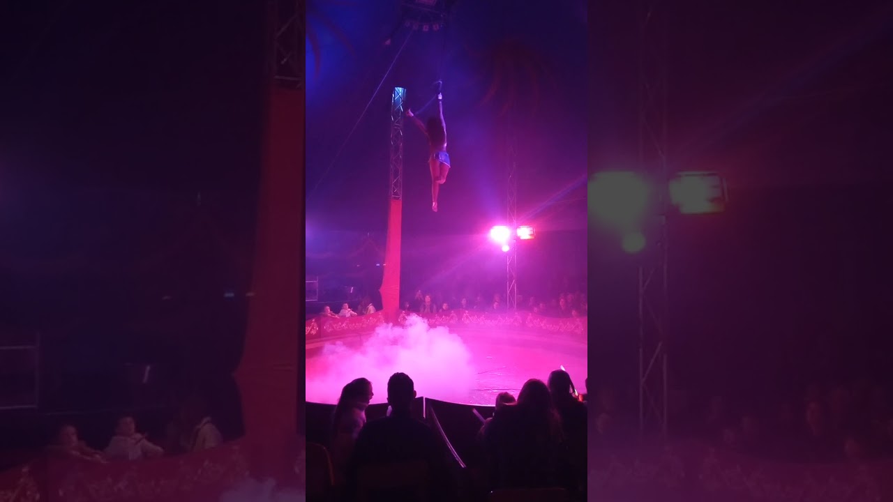 le cirque Alexandre landri, cercle aérien