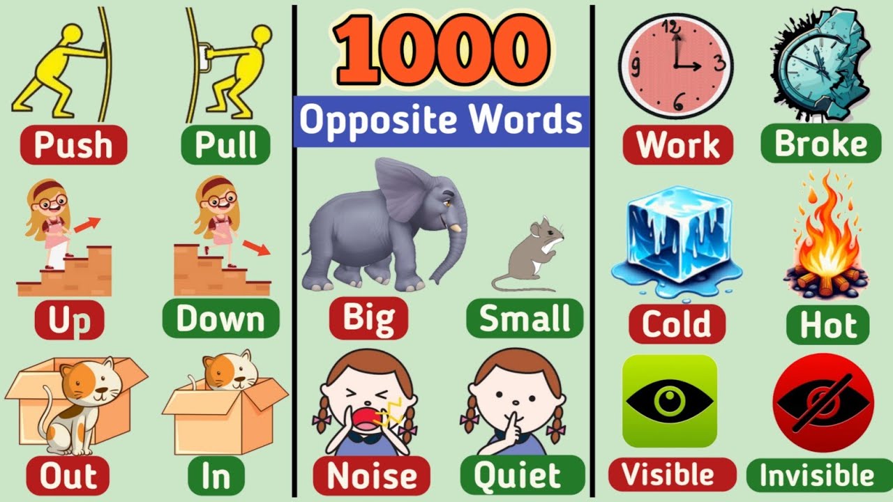 1000 Opposite Words In English | Part 1 -  Improve Your Vocabularies 