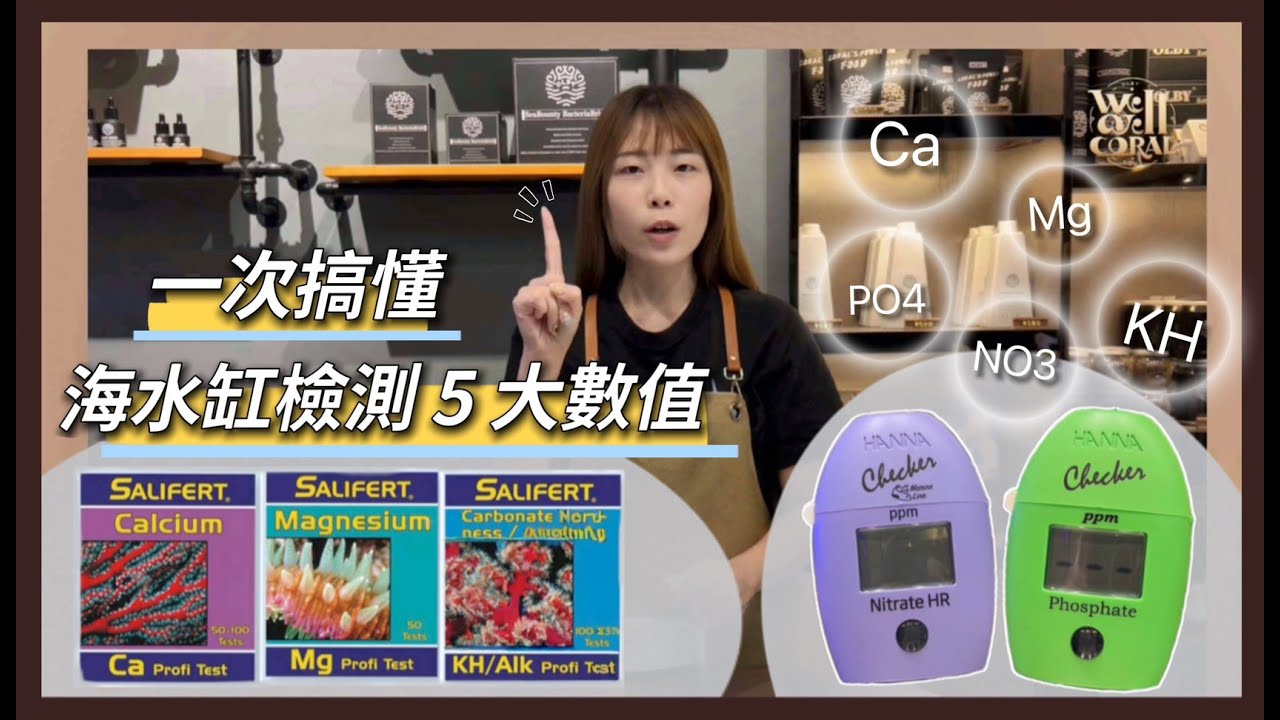 Ca｜Mg｜KH｜NO3｜PO4 一次搞懂新手入門 × 養珊瑚必備 #海水缸 #珊瑚飼養 #水質檢測 #新手養珊瑚 #CaMgKH #珊瑚入門教學