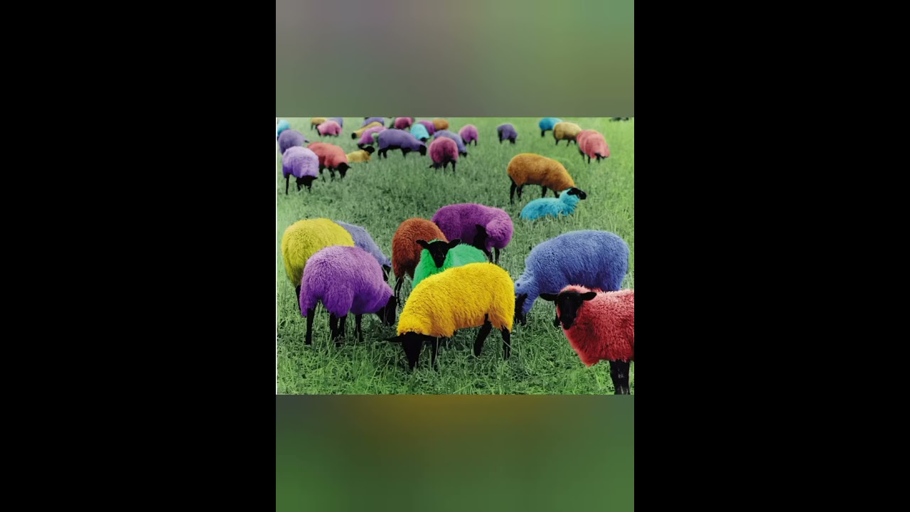 በጡጦ  ያሣደኳት  ጓደኛየ