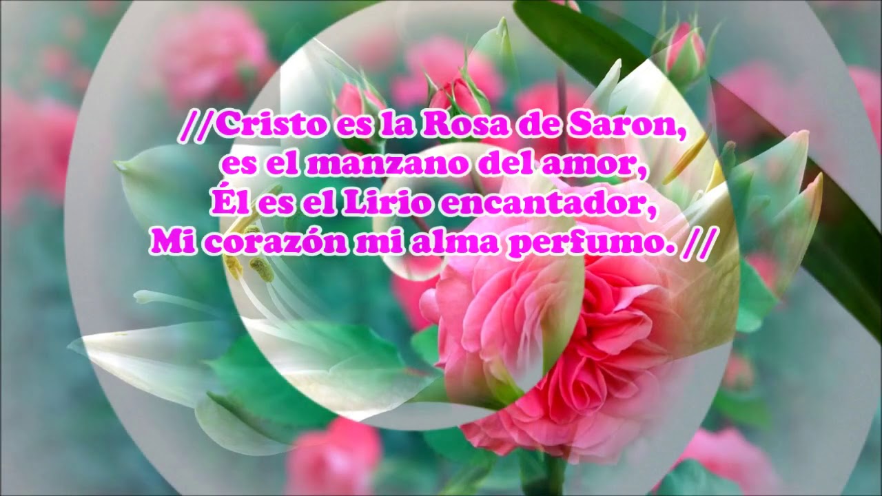 LA ROSA DE SARON