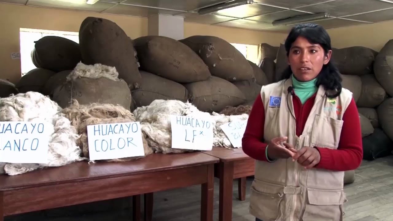 Comercialización de la fibra de alpaca