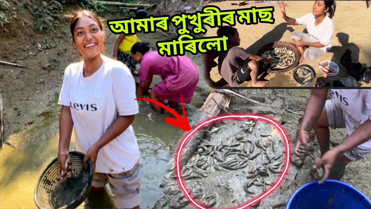 পানী নথকা পুখুৰীত মাছ ধৰিলো । মাছ বেপাৰি 😁 #mrbarman 