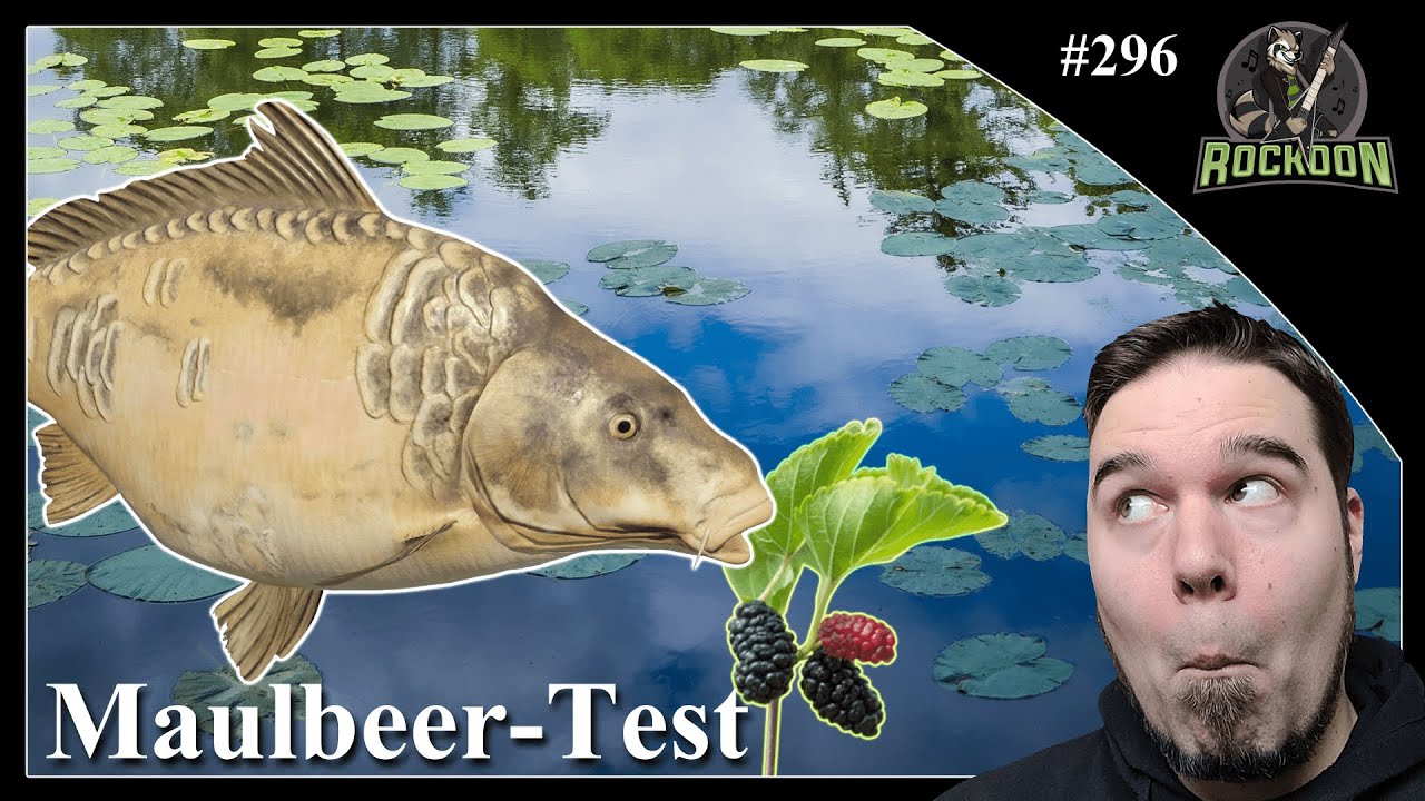 Der Spinner und die Karpfen - Maulbeertest | Bernsteinsee | Russian Fishing 4 | #koontainment