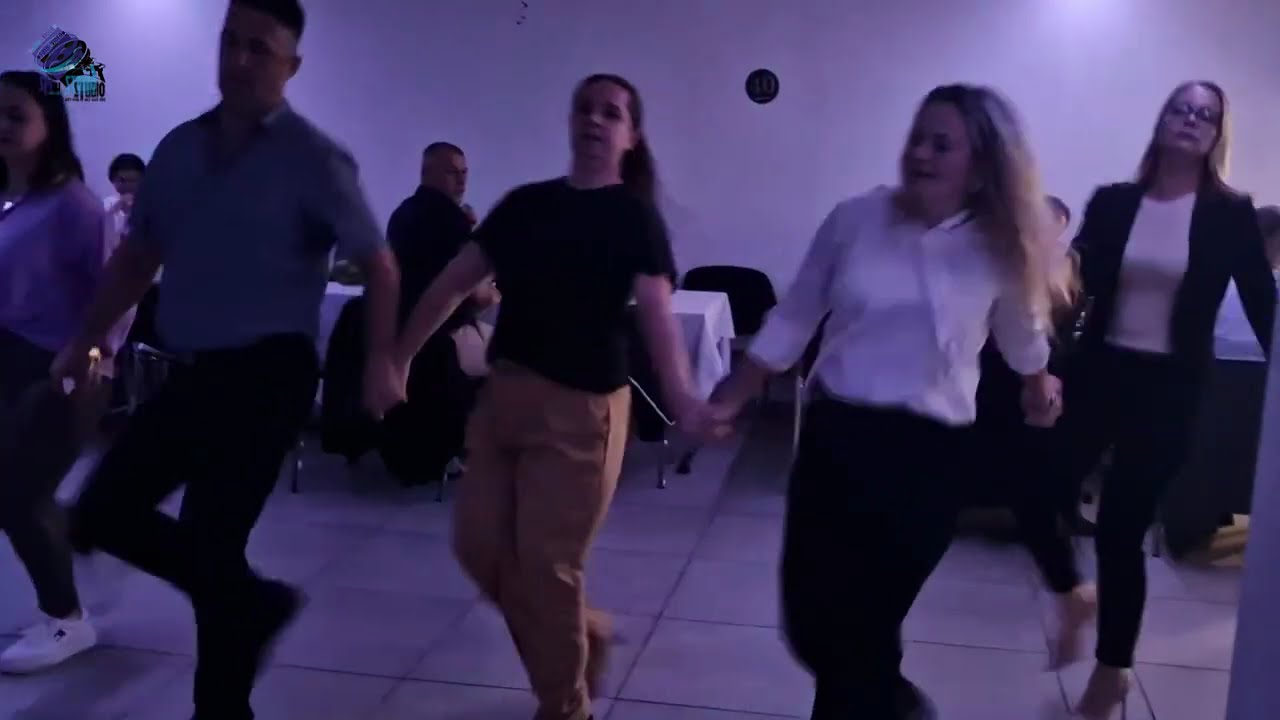  Gosti uživaju uz Moni na Rođendanskom Veselju