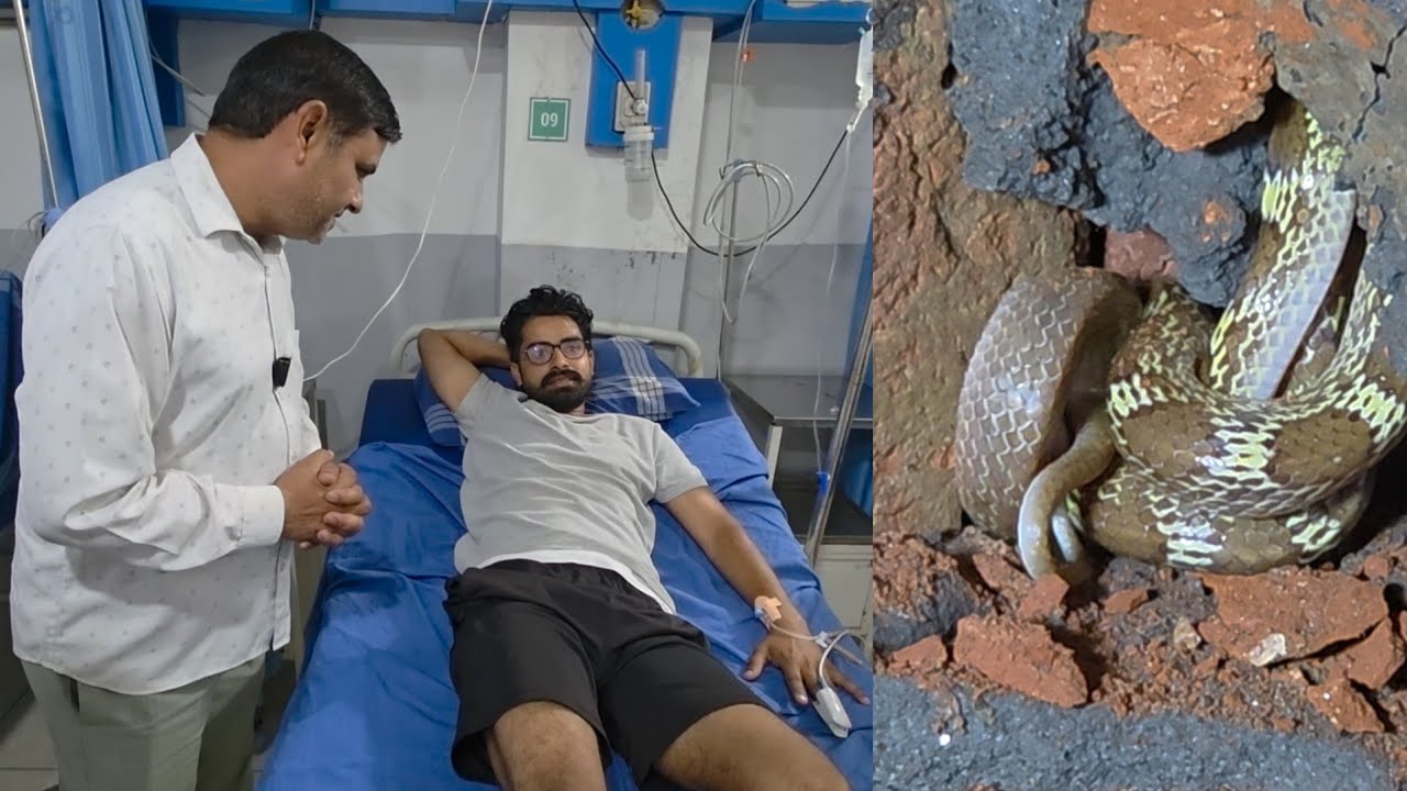 युवक को सांप ने डंसा, सांप पकडते ही हॉस्पिटल जाना पडा ///स्नेकमैन सतीश (फफडाना)-9255130130
