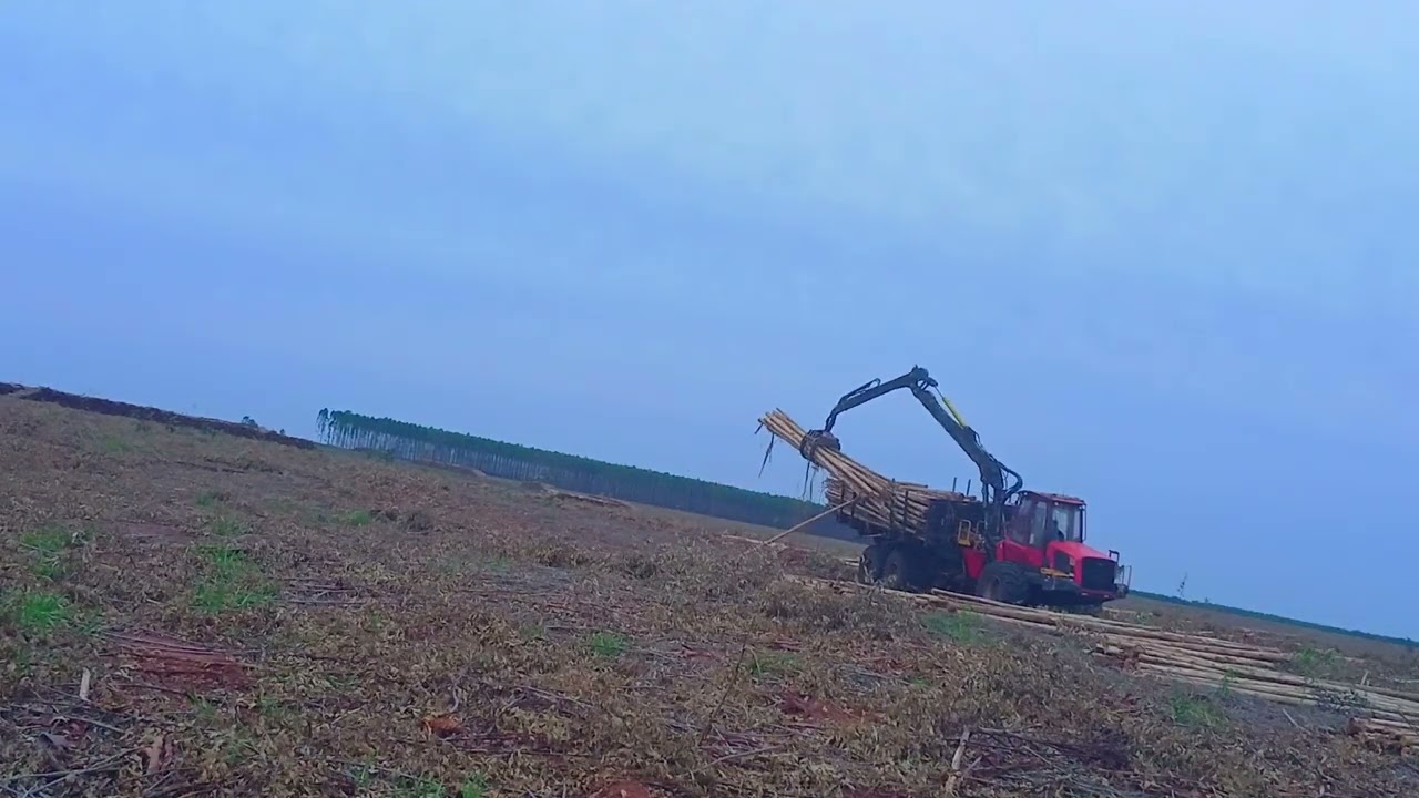 Operação Maquina florestal | Forwarder Komatsu | Willian Mod 22
