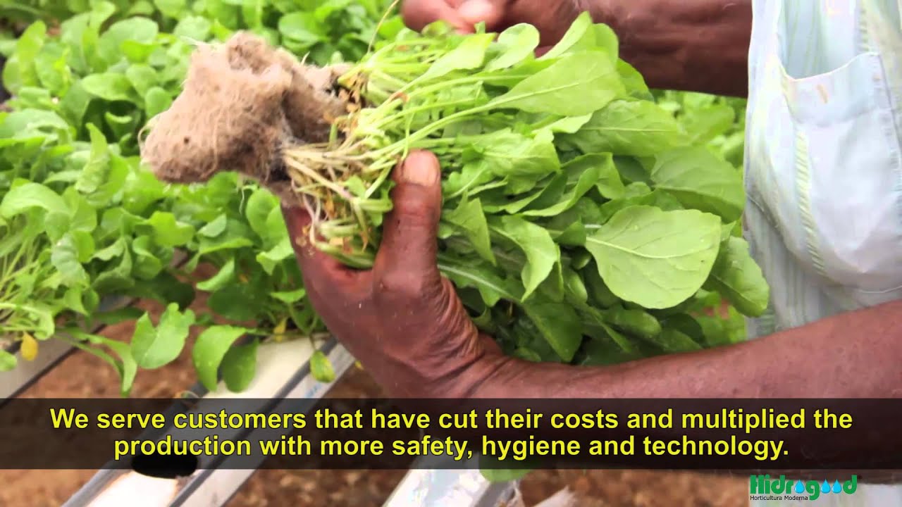 HIDROGOOD COMPANY - INSTITUCIONAL VIDEO