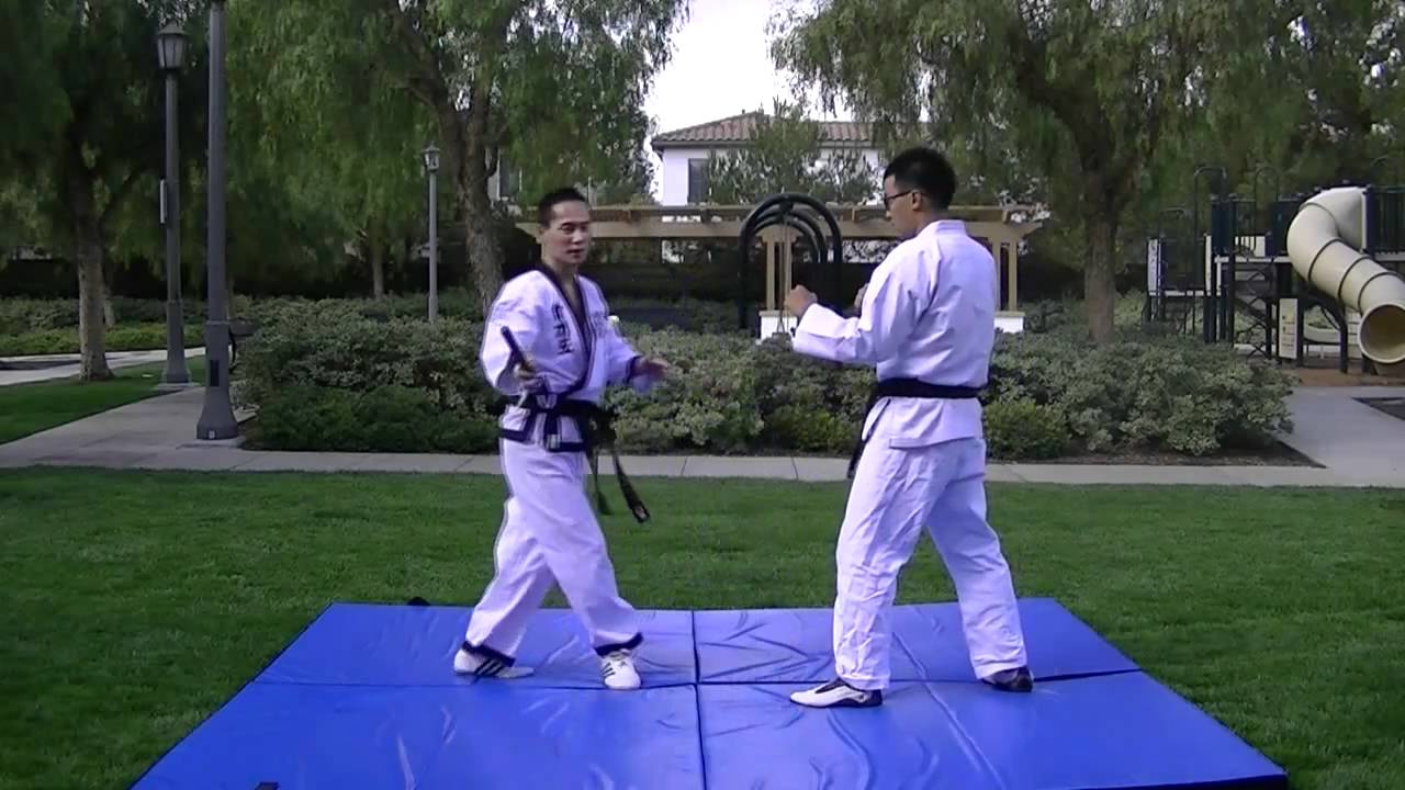 Hapkido Dan Bong Techniques 합기도 단봉 법