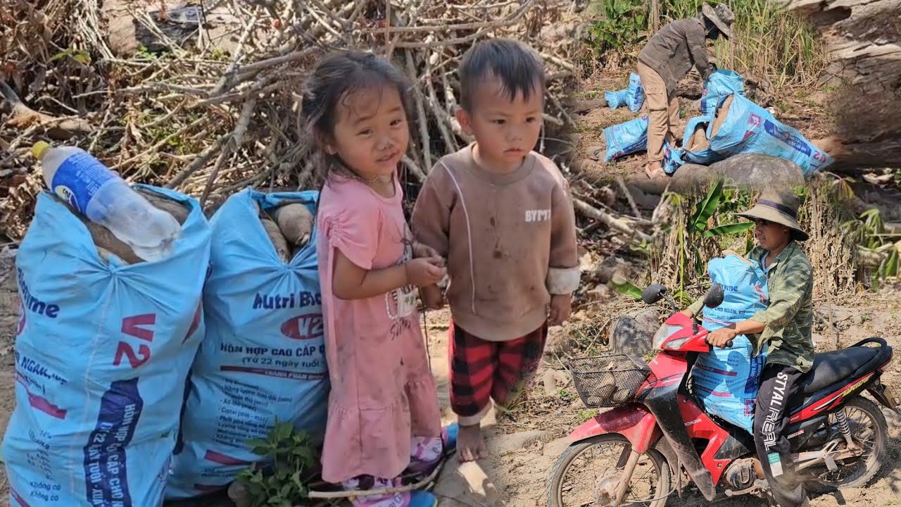 7 กุมภาพันธ์ ค.ศ. 2026