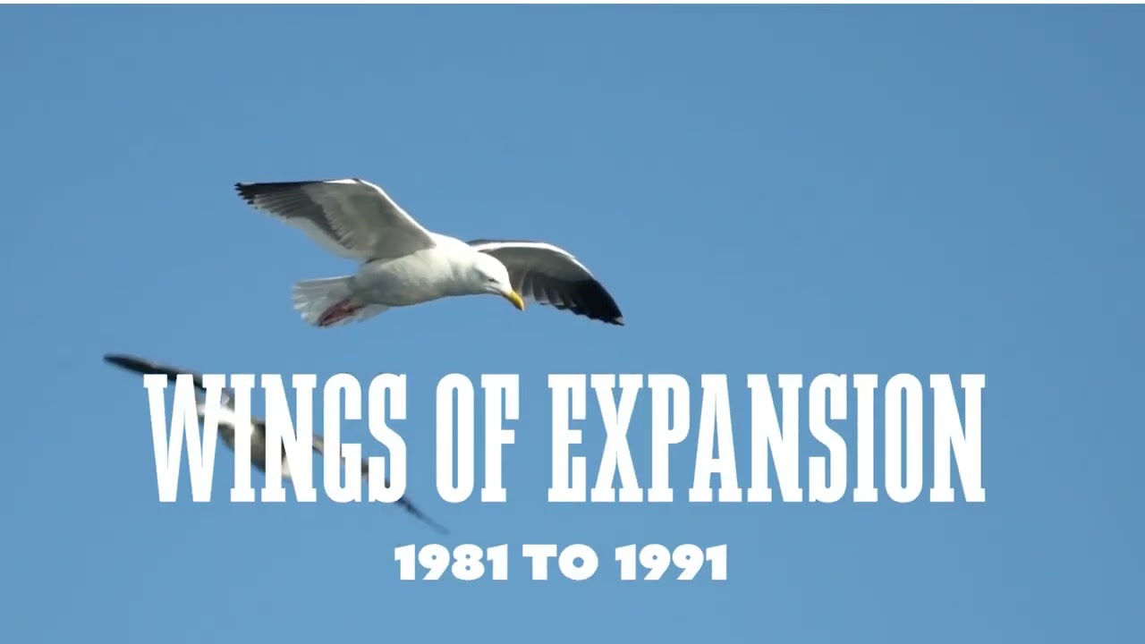 Two Decades of Transformation: 1971 - 1991, A Pallottine Documentary