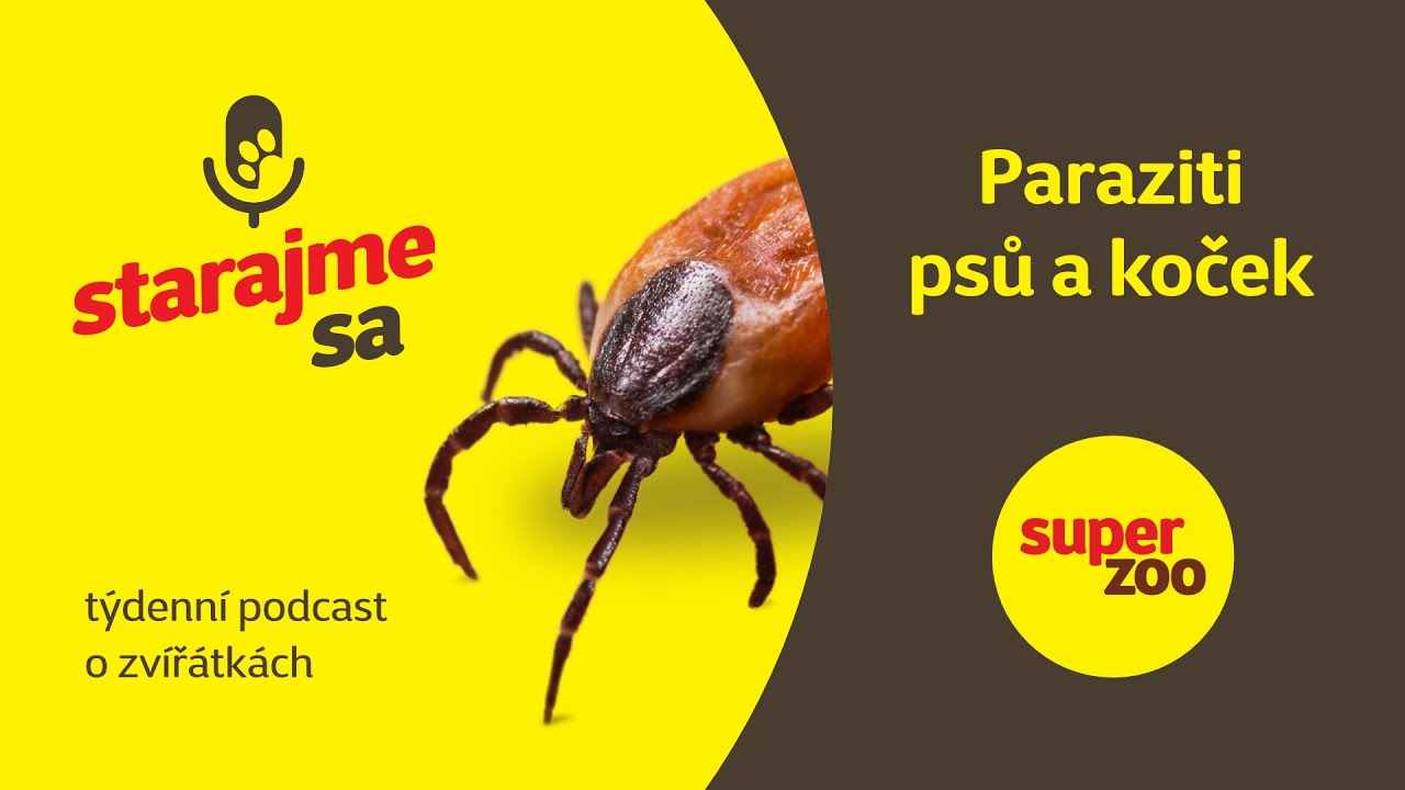 Paraziti psů a koček | Podcast Super zoo
