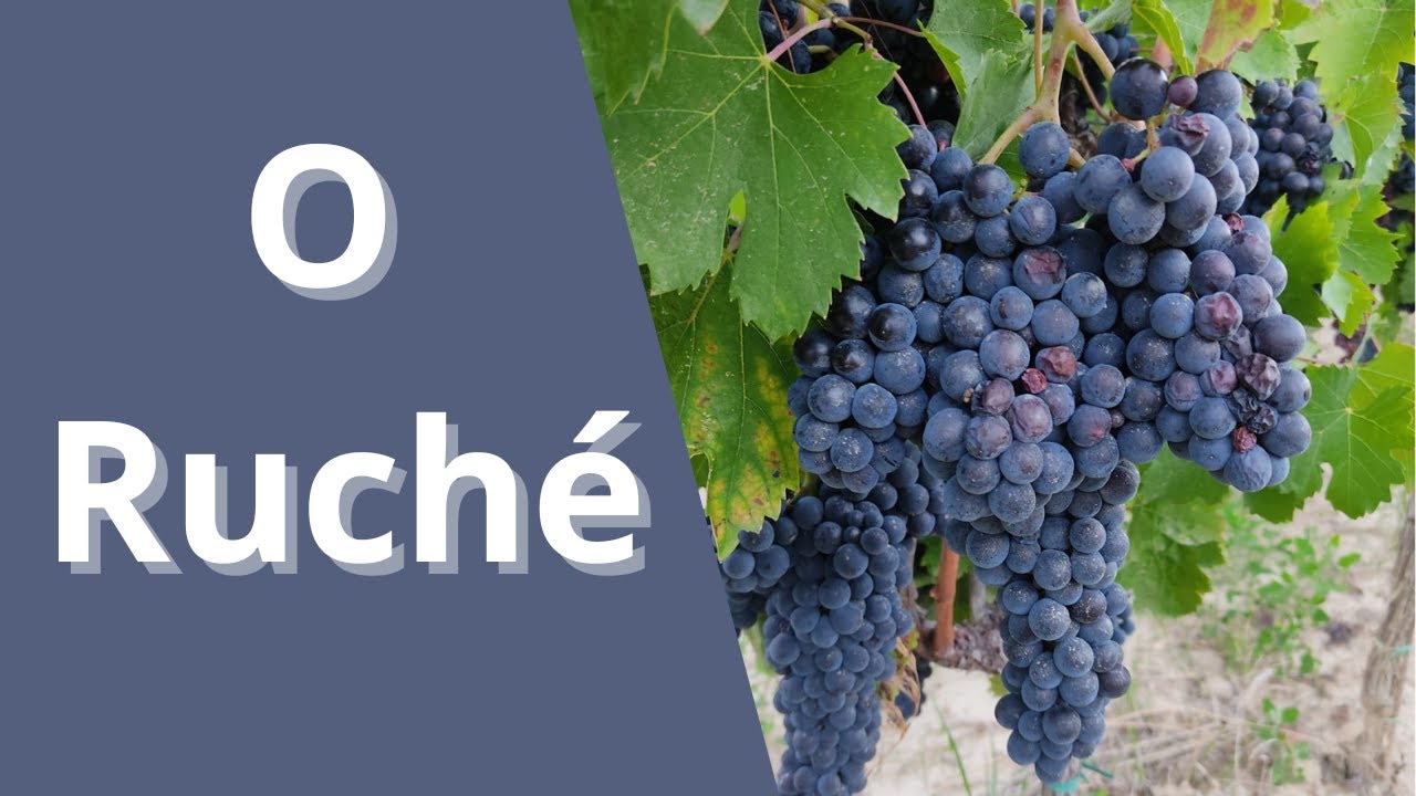 Descubra o Segredo Oculto do Ruchè do Monferrato   Sabor Surpreendente!