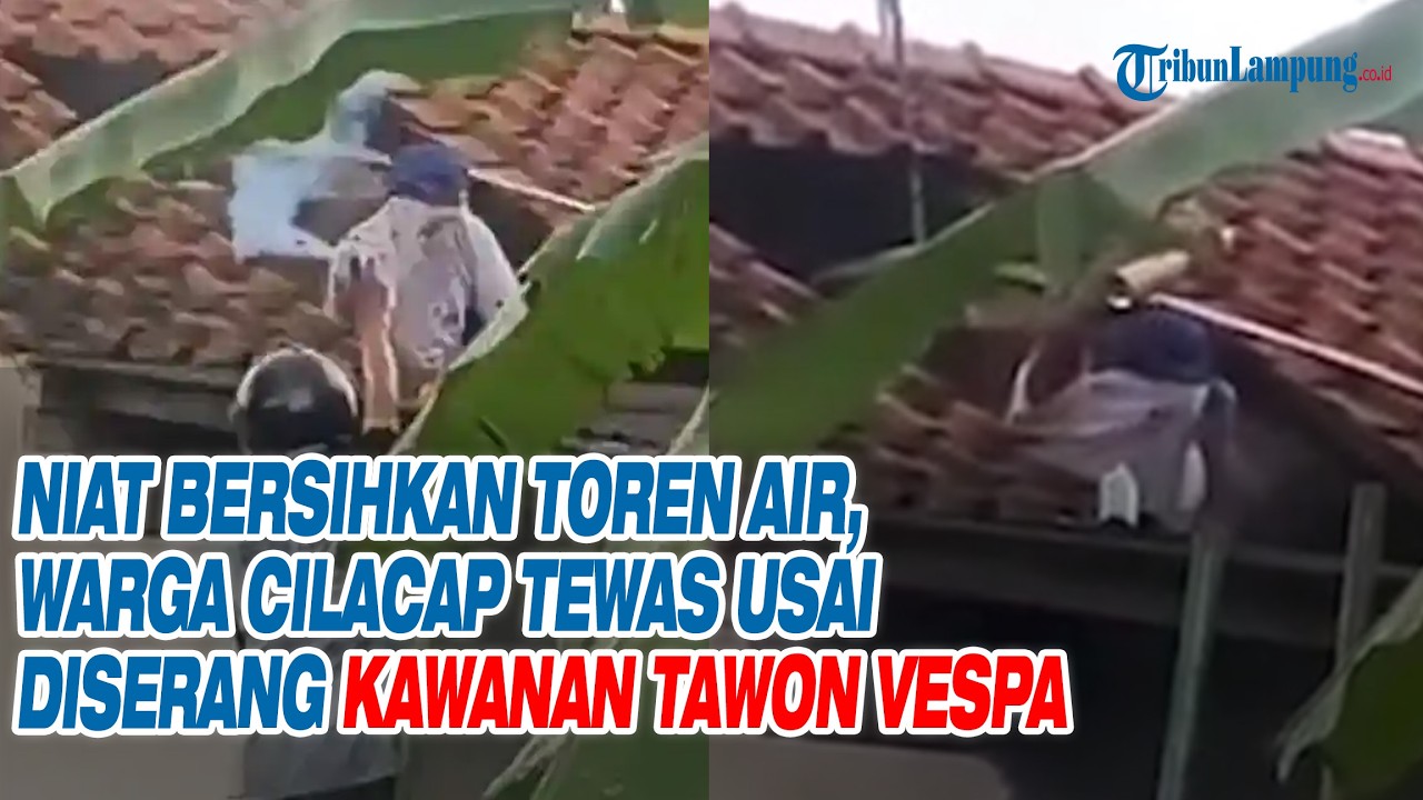 Niat Bersihkan Toren Air, Warga Cilacap Tewas Usai Diserang Kawanan Tawon Vespa