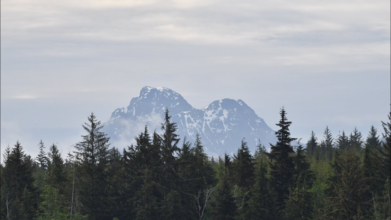 Animals of Vancouver Island - draft