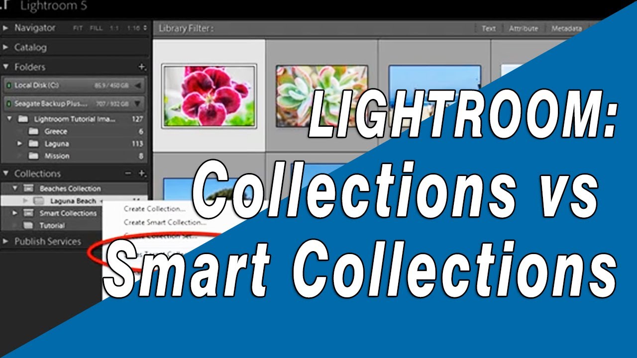 How to Use Lightroom Collections and Smart Collections