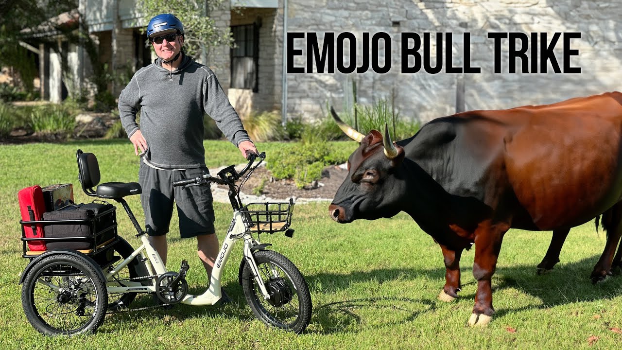 Стоит ли кататься на быке? Emojo Bull Trike — обзор электрического трайка