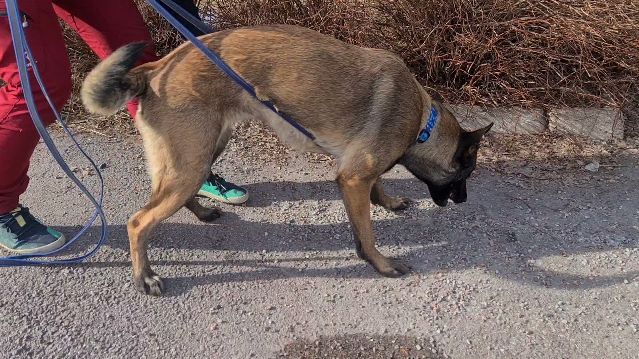 Passive indication