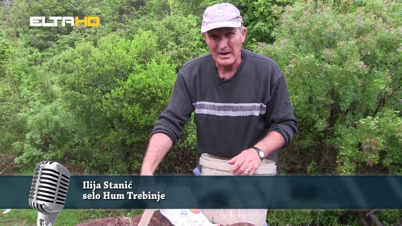 REPORTAZA PROIZVODNJA DRVENOG UGLJA ZEZNICA TREBINJE