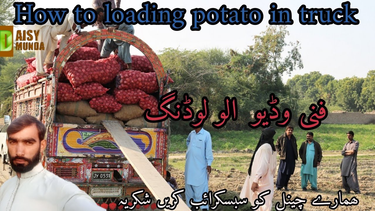 how to louding potato baiage in truck/loudi truck fany video #stisfying /urdu/hindi