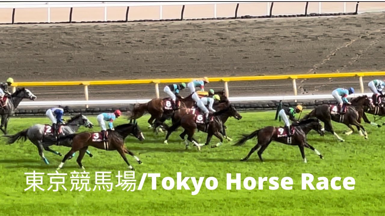 4K Tokyo Racecourse/Horse Racing／東京競馬場