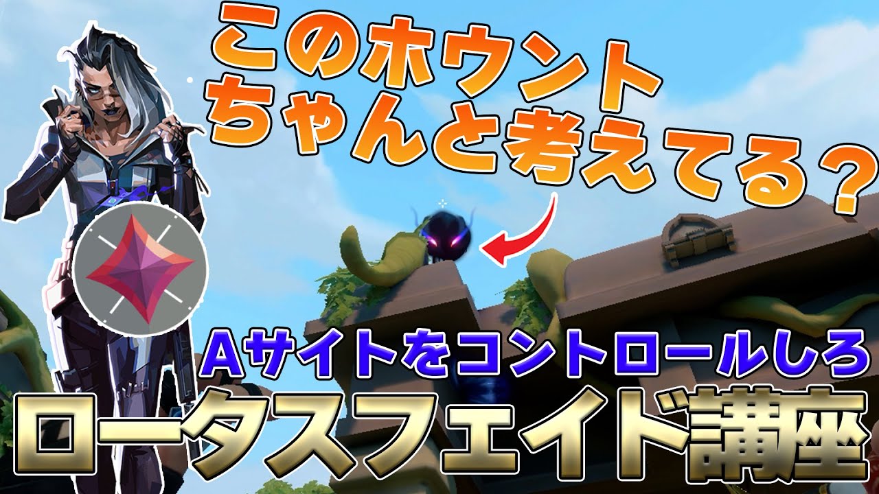 【イモータルが解説】あなたのホウントはちゃんと考えられていますか？ロータスフェイド徹底解説【valorant講座】