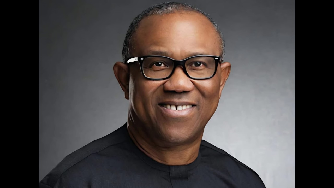 ADC will fail Peter Obi. The election in Abuja is a failed test for ADC