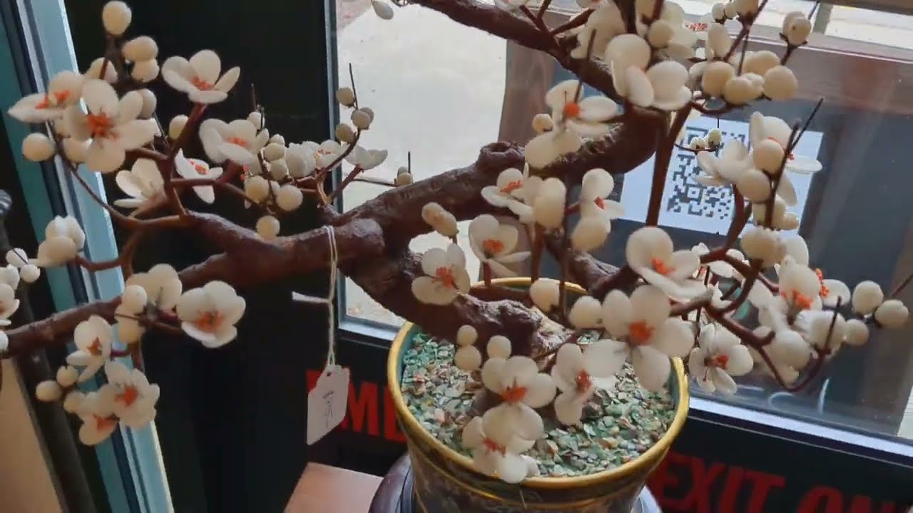 河边艺术小镇上的古董店之四，一千三的无双谱大瓶摆在外面卖！