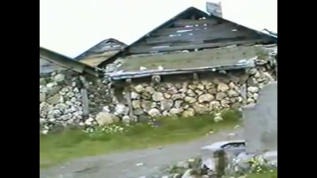 O Yeşil Yaylalar Yâr Senin Olsun . sıvas koyulhısar bayalı koyu sarı cıcek yaylası