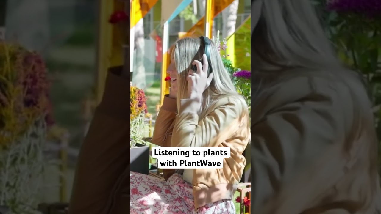Listen to #plants with a #plantwave #plantmusic device