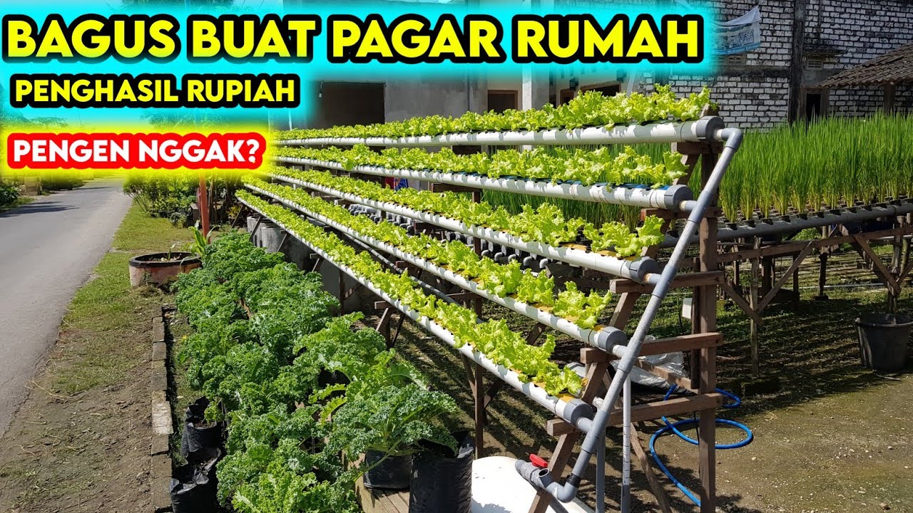 Cara membuat Instalasi Hidroponik setengah A miring || lebih hemat lahan