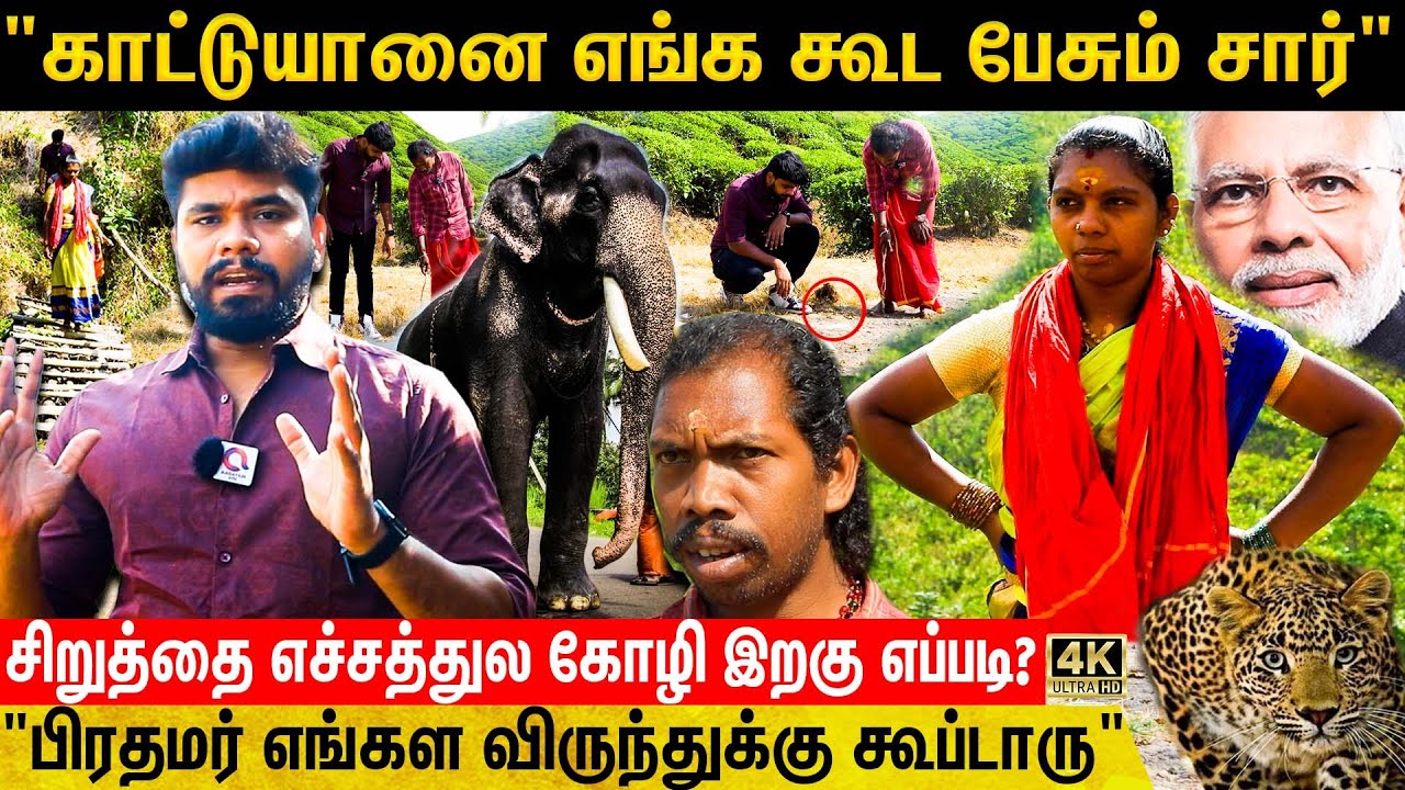 வால்பாறை To டெல்லி பிரதமர் இல்லம்.. பிரதமரே விருந்துக்கு அழைத்த பழங்குடி தம்பதி| Valparai |Wild Life