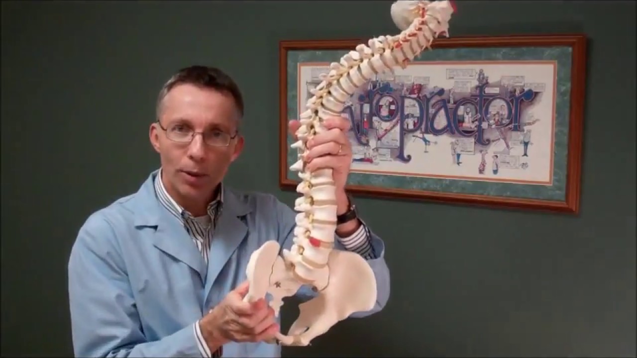 Best Chiropractor Near Me...